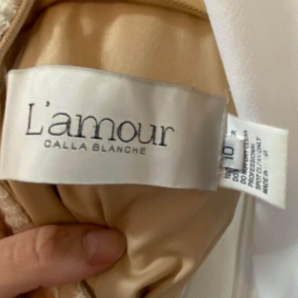 Calla Blanche L' Amour Lace Wedding Dress Size 10 - Picture 3 of 4
